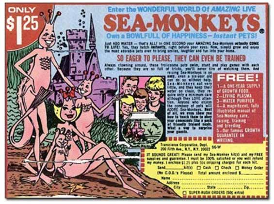 seamonkeys.jpg